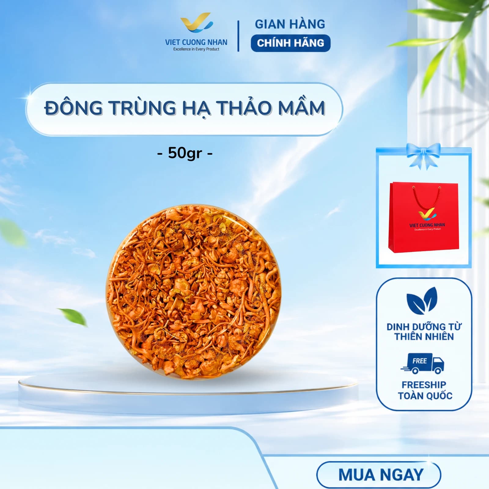 NẤM ĐÔNG TRÙNG HẠ THẢO LOẠI VỤN - HỘP 50GR
