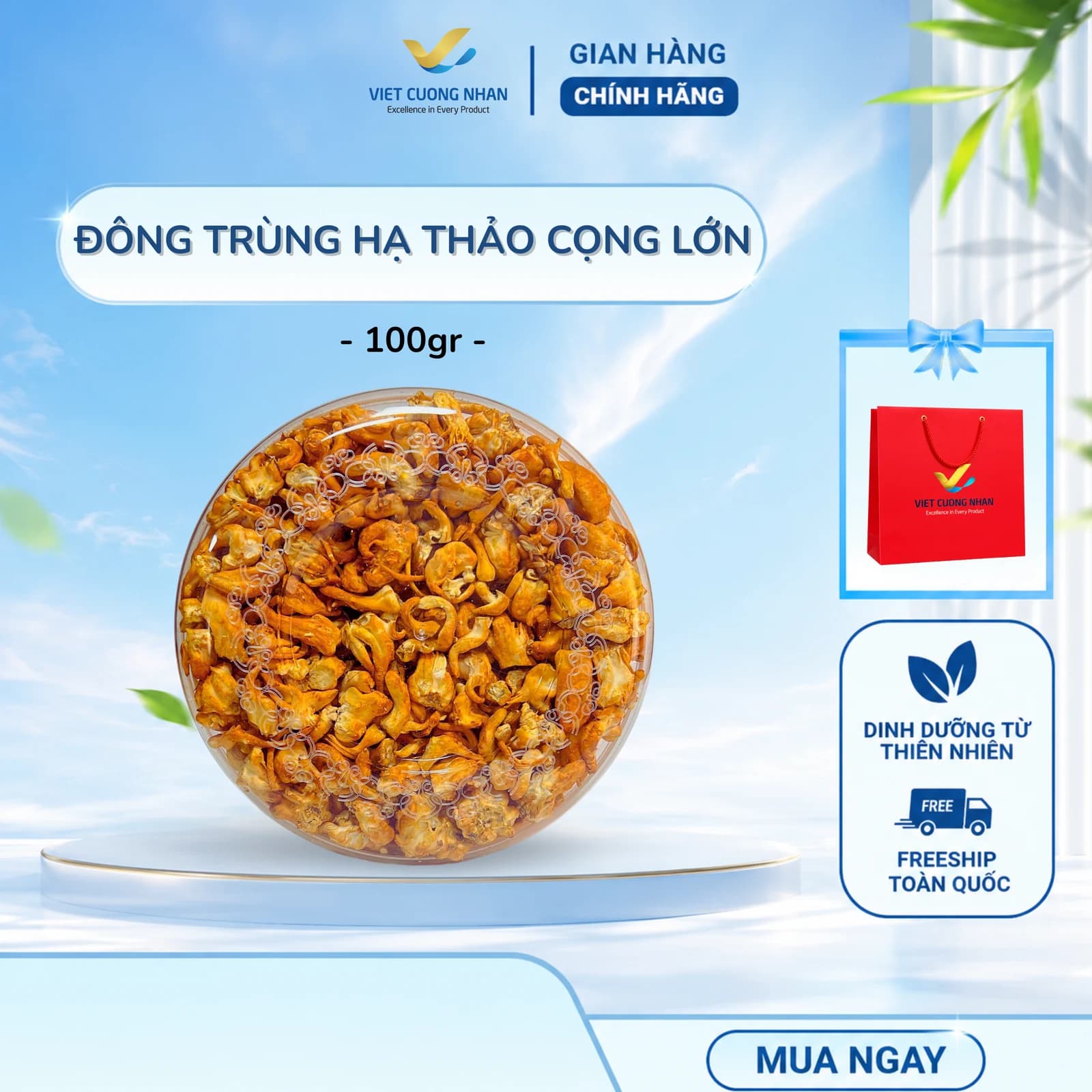 NẤM ĐÔNG TRÙNG HẠ THẢO CỌNG LỚN- HỘP 100GR