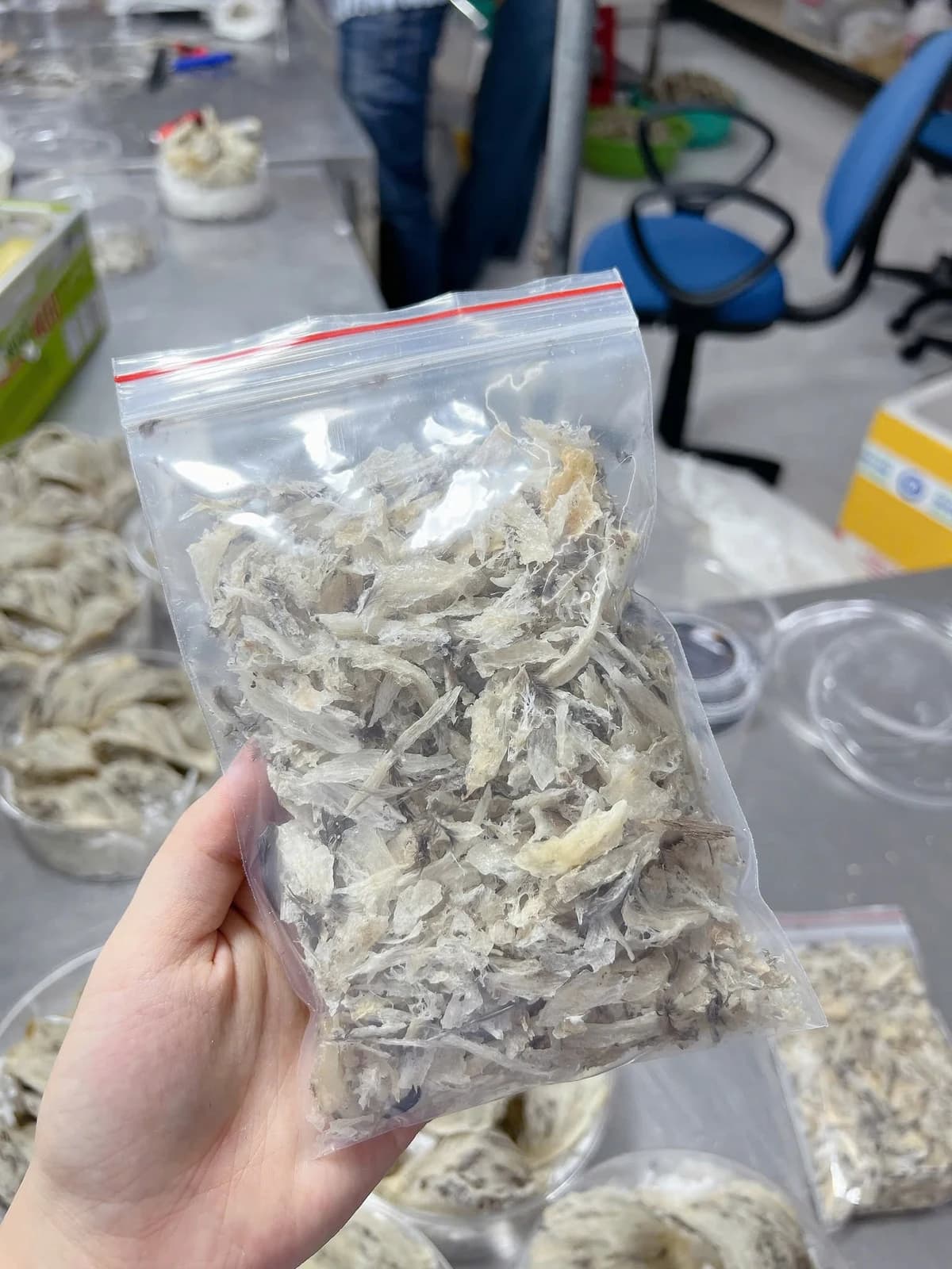 YẾN VỤN THÔ- TÚI 10GR