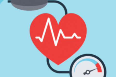 Yến sào có tác dụng hỗ trợ điều trị bệnh lý về tim mạch và huyết áp